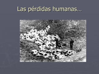 Las pérdidas humanas…
