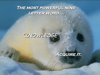 The most powerful nine-letter word.... "KNOWLEDGE" Acquire it. 