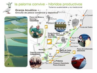 Puerto de La Paloma  Centro pesquero exportador Paseo de Pesca Artesanal Represa de India Muerta Pesca con Mosca y “Spinning” Pesca  de Embarcada Captura controlada  en laguna Pesca  de Costa “ Surf – Casting” Captura controlada  en laguna Captura controlada  en laguna Granja acuática 