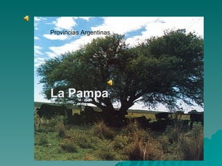 La Pampa Provincias Argentinas La Pampa 