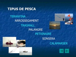 TIPUS DE PESCA TERANYINA ARROSSEGAMENT TRASMALL PALANGRE PETXINAIRE SONSERA CALAMARSER 