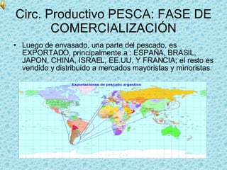 Circ. Productivo PESCA: FASE DE COMERCIALIZACIÓN Luego de envasado, una parte del pescado, es EXPORTADO, principalmente a : ESPAÑA, BRASIL, JAPON, CHINA, ISRAEL, EE.UU. Y FRANCIA; el resto es vendido y distribuido a mercados mayoristas y minoristas. 