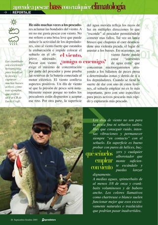 Los crankbaits
son excelentes
herramientas
para localizar
la pesca y
capturan
muchos basses
activos, como
este ejemplar,
que preﬁrió
un Fat CB de
Lucky Craft.
el viento,
¿amigo o enemigo?
He oído muchas veces a los pescado-
res aclamar las bondades del viento. A
mi no me gusta pescar con viento. No
me reﬁero a una brisa leve que puede
inducir la actividad de los depredado-
res, sino al viento fuerte que zarandea
la embarcación e impide colocar el
señuelo en el ob-
jetivo adecuado.
Pescar con viento
exige el máximo de concentración
por parte del pescador y pone prueba
las reservas de la batería conectada al
motor eléctrico. El viento conlleva
aspectos positivos. Un día de viento
sé que la presión de pesca será nota-
blemente menor porque no todos los
pescadores están dispuestos a aceptar
ese reto. Por otra parte, la superﬁcie
del agua movida reﬂeja los rayos de
luz en múltiples direcciones lo que
“esconde” al pescador permitiéndole
cometer mas fallos. Tal vez un lance
brusco que chapotea al caer desenca-
dene una violenta picada, el lugar de
asustar a los basses. En ocasiones, un
viento fuerte puede
crear “corrientes
de agua extra” que
concentran microorganismos atra-
yendo a los bálamos de peces presa
a determinadas zonas y detrás de sí a
los depredadores. Cuando se tiene la
suerte de dar con uno de estos festi-
nes, el señuelo emplear no es lo más
importante, pero con uno especíﬁco
para peces activos pescarás más rápi-
do y capturarás más pescado.
Los días de viento no son para
la pesca ﬁna ni señuelos sutiles.
Hay que conseguir ruido, inten-
sas vibraciones y permanecer
siempre “en contacto” con el
señuelo. En superﬁcie es bueno
probar con puros de hélices, buz-
zers y cualquier
alborotador que
monte suﬁcien-
te escándalo y
puedas lanzar
dignamente.
A medias aguas, spinnerbaits de
al menos 3/8 de onza y crank-
baits voluminosos y de babero
ancho. Los colores llamativos
como chartreuse o blanco suelen
funcionar mejor que esos excesi-
vamente naturales o traslúcidos
que podrían pasar inadvertidos.
publi
aprendeapescarbassconcualquierclimatologíaaprendeapescarbassconcualquierclimatología
quéseñuelos
emplear
conviento
REPORTAJE>
2005 Septiembre-Octubre 21
Aprende a pescar bass con cualquier climatología >
20 Septiembre-Octubre 2005
 