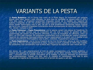 VARIANTS DE LA PESTA La  Pesta Bubònica : era la forma més comú de la Pesta Negra. Es transmetia pel contacte directe amb rates, puces i polls infectats. La seva taxa de mortalitat se situava entre el 30% i 75% dels casos. El símptoma característic d’aquesta variant de la malaltia era l’aparició de bubons a l’engonal, el coll i les aixelles pels quals supurava pus i sang. Les persones infectades tenien també hemorràgies sota la pell, raó per la qual presentaven nombroses taques fosques per tot el cos. L’aparició d’aquestes tumoracions anava acompanyada de febre alta (entre 38 i 41 ºC), vòmits i confusió o deliri. La  Pesta Pulmonar  o  Pesta Pneumònica : era la segona variant més estesa de l’epidèmia. És l’única de les tres variants que es transmetia per via oral, a través de gotetes de saliva contaminada pel bacteri d’una persona infectada. La taxa de mortalitat era altíssima, entre un 90% i un 95% dels infectats. Els símptomes característics eren la dificultat per respirar (dispnea), l’aparició de coloracions blavoses/violàcies pel cos (especialment a la cara) com a resultat d’una cianosi (concentració d’hemoglobina sota la pell) i, sobretot, l’expectoració sangonosa. La  Pesta Septicèmica : era la menys freqüent de les tres formes però, alhora, la més mortífera, atès que la infecció envaïa ràpidament la sang. Causava la mort a gairebé el 100% dels malalts. Els símptomes més característics eren la febre alta i l’aparició de taques de color morat pel cos.  Així doncs, tot i que originàriament el brot de pesta correspondria a la varietat bubònica, a mesura que aquesta es propagà donà lloc a l’aparició de les altres variants. Durant els primers dies, i coincidint amb el període d’incubació de la malaltia, la persona infectada no presentava cap simptomatologia. Passats uns dies, però, la malaltia es manifestava amb tota la seva virulència i la majoria de les víctimes morien en el termini de quatre a set dies. 