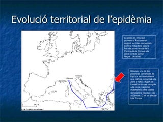 Evolució territorial de l’epidèmia La pesta és creu que  provenia d’Àsia central seguint les rutes comercials  [com la “ruta de la seda”]  fins als ports russos de la  Península de Crimea a la zona nord de la mar  Negra ( Ucraïna) Gènova, una de les potències comercials de l’època, tenia establerta una colònia comercial a la zona ( Kaffa) i fugint de l’assalt de tropes mongols a la ciutat, va portar malalts fins a les costes de Messina (Sicília) i cap a Gènova. D’allí va afectar tota Europa Gènova Messina Marsella Venècia 