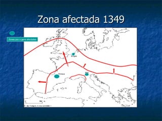 Zona afectada 1349 Zones poc o gens afectades Pirineus Milà Bruges 