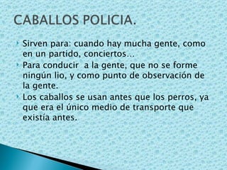 Sirven para: cuando hay mucha gente, como en un partido, conciertos…  Para conducir  a la gente, que no se forme ningún lio, y como punto de observación de la gente. Los caballos se usan antes que los perros, ya que era el único medio de transporte que existía antes. 