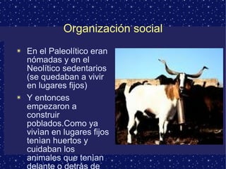 Organización social En el Paleolítico eran nómadas y en el Neolítico sedentarios (se quedaban a vivir en lugares fijos) Y entonces empezaron a construir poblados.Como ya vivìan en lugares fijos tenìan huertos y cuidaban los animales que tenìan delante o detràs de su casa. 