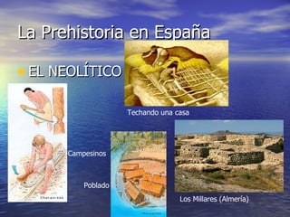La Prehistoria en España EL NEOLÍTICO Techando una casa Campesinos Poblado  Los Millares (Almería) 
