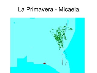 La Primavera - Micaela 