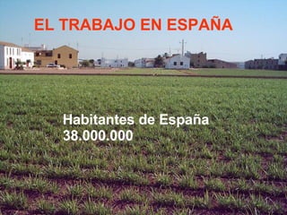 EL TRABAJO EN ESPAÑA   Habitantes de España  38.000.000  