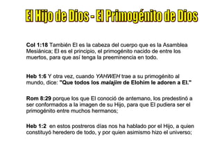 El Hijo de Dios - El Primogénito de Dios Col 1:18  También El es la cabeza del cuerpo que es la Asamblea Mesiánica; El es el principio, el primogénito nacido de entre los muertos, para que así tenga la preeminencia en todo. Heb 1:6  Y otra vez, cuando  YAHWEH  trae a su primogénito al mundo, dice:  "Que todos los  malajim  de Elohim le adoren a El." Rom 8:29  porque los que El conoció de antemano, los predestinó a ser conformados a la imagen de su Hijo, para que El pudiera ser el primogénito entre muchos hermanos; Heb 1:2   en estos postreros días nos ha hablado por el Hijo, a quien constituyó heredero de todo, y por quien asimismo hizo el universo;   