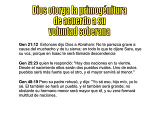 Dios otorga la primogénitura de acuerdo a su voluntad soberana Gen 21:12   Entonces dijo Dios a Abraham: No te parezca grave a causa del muchacho y de tu sierva; en todo lo que te dijere Sara, oye su voz, porque en Isaac te será llamada descendencia Gen 25:23  quien le respondió: "Hay dos naciones en tu vientre. Desde el nacimiento ellos serán dos pueblos rivales. Uno de estos pueblos será más fuerte que el otro, y el mayor servirá al menor." Gen 48:19  Pero su padre rehusó, y dijo: "Yo sé eso, hijo mío, yo lo sé. El también se hará un pueblo, y él también será grande; no obstante su hermano menor será mayor que él, y su  zera  formará multitud de naciones. 