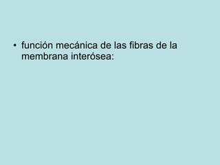 <ul><li>función mecánica de las fibras de la membrana interósea: </li></ul>