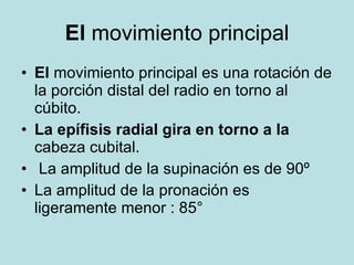El  movimiento principal <ul><li>El  movimiento principal es una rotación de la porción distal del radio en torno al cúbit...