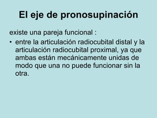 El eje de pronosupinación <ul><li>existe una pareja funcional : </li></ul><ul><li>entre la articulación radiocubital dista...