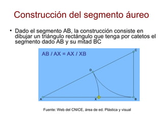 Construcción del segmento áureo <ul><li>Dado el segmento AB, la construcción consiste en dibujar un triángulo rectángulo q...