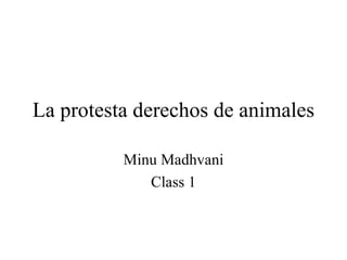 La protesta derechos de animales Minu Madhvani Class 1 