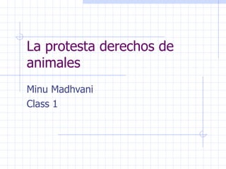 La protesta derechos de animales Minu Madhvani Class 1 