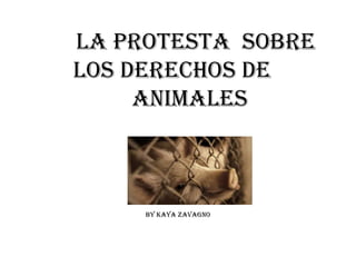 La Protesta  sobre Los Derechos de  Animales  By Kaya Zavagno 
