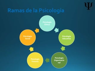 Ramas de la Psicología
Psicología
Clínica
Psicología
Educativa
Psicología
Organizacio
nal
Psicología
Forense
Psicología
Social