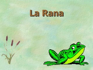 La Rana 