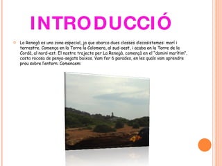 INTRODUCCIÓ La Renegà es una zona especial, ja que abarca dues classes d’ecosistemes: marí i terrestre. Comença en la Torre la Colomera, al sud-oest, i acaba en la Torre de la Cordà, al nord-est. El nostre trajecte per La Renegà, començà en el “domini marítim”, costa rocosa de penya-segats baixos. Vam fer 6 parades, en les quals vam aprendre prou sobre l’entorn. Comencem: 