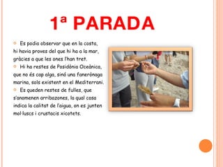 1ª PARADA Es podia observar que en la costa,  hi havia proves del que hi ha a la mar,  gràcies a que les ones l’han tret.  Hi ha restes de Posidònia Oceànica,  que no és cap alga, sinó una fanerònaga  marina, sols existent en el Mediterrani.  Es queden restes de fulles, que  s’anomenen arribazones, la qual cosa  indica la calitat de l’aigua, on es junten  mol·luscs i crustacis xicotets. 