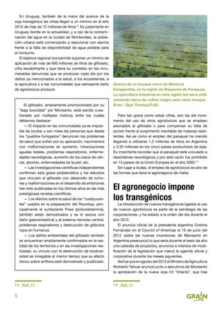 5
En Uruguay, también de la mano del avance de la
soja transgénica las cifras llegan a un mínimo en el año
2010 de más de 12 millones de litros13
. Es justamente en
Uruguay donde en la actualidad, y a raíz de la contami-
nación del agua en la ciudad de Montevideo, la pobla-
ción urbana está comenzando a reaccionar con alarma
frente a la falta de disponibilidad de agua potable para
el consumo.
El balance regional nos permite suponer un mínimo de
aplicación de más de 600 millones de litros de glifosato,
cifra escalofriante y que tiene su correlato en las innu-
merables denuncias que se producen cada día por los
daños ya mencionados a la salud, a los ecosistemas, a
la agricultura y a las comunidades que semejante baño
de agrotóxicos produce.
El glifosato, ampliamente promocionado por su
“baja toxicidad” por Monsanto, está siendo cues-
tionado por múltiples motivos entre los cuales
debemos destacar:
— El impacto en las comunidades ya es imposi-
ble de ocultar y son miles las personas que desde
los “pueblos fumigados” denuncian los problemas
de salud que sufren por su aplicación: nacimientos
con malformaciones en aumento, intoxicaciones
agudas fatales, problemas respiratorios, enferme-
dades neurológicas, aumento de los casos de cán-
cer, abortos, enfermedades de la piel, etc.
— Las investigaciones científicas independientes
confirman esta grave problemática y los estudios
que vinculan al glifosato con desarrollo de tumo-
res y malformaciones en el desarrollo de embriones
han sido publicadas en los últimos años en las más
prestigiosas revistas científicas.
— Los efectos sobre la salud de los “coadyuvan-
tes” usados en la preparación del Roundup, prin-
cipalmente el surfactante Poea (polioxietilamina),
también están demostrados y se lo asocia con
daño gastrointestinal y al sistema nervioso central,
problemas respiratorios y destrucción de glóbulos
rojos en humanos.
— Los daños ambientales del glifosato también
se encuentran ampliamente confirmados en la rea-
lidad de los territorios y en las investigaciones rea-
lizadas: su vínculo con la destrucción de biodiver-
sidad es innegable al mismo tiempo que su efecto
tóxico sobre anfibios está demostrado y publicado.
13. Ibid. 11
Pero tan grave como estas cifras, son las del incre-
mento del uso de otros agrotóxicos que se emplean
asociados al glifosato o para compensar su falta de
acción frente al surgimiento inevitable de malezas resis-
tentes. Así es como el empleo del paraquat ha crecido
llegando a utilizarse 1,2 millones de litros en Argentina
y 3,32 millones en los cinco países productores de soja.
Es importante recordar que el paraquat está vinculado a
desórdenes neurológicos y por esta razón fue prohibido
en 13 países de la Unión Europea en el año 2003.14
Sin lugar a dudas, el empleo de agrotóxicos es otra de
las formas que tiene el agronegocio de matar.
El agronegocio impone
los transgénicos
La introducción de nuevos transgénicos ligados al uso
de nuevos agrotóxicos es parte de la estrategia de las
corporaciones, y ha estado a la orden del día durante el
año 2012.
El anuncio oficial de la presidenta argentina Cristina
Fernández en el Council of Americas el 15 de junio del
2012 sobre las nuevas inversiones de Monsanto en
Argentina preanunció lo que sería durante el resto de año
una catarata de proyectos, anuncios e intentos de modi-
ficación de la legislación que marcó la agenda oficial y
corporativa durante los meses siguientes.
Así fue que en agosto del 2012 el Ministro de Agricultura
Norberto Yahuar anunció junto a ejecutivos de Monsanto
la aprobación de la nueva soja rr2 “Intacta”, que trae
14. Ibid. 11
Quema de un bosque cerca de Mariscal
Estagarribia, en la región de Boquerón de Paraguay.
La agricultura industrial en esta región tan seca está
volviendo tierra de cultivo magro este vasto bosque.
(Foto : Glyn Thomas/FoE).
 