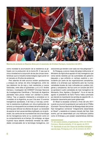 6
como novedad la acumulación de la resistencia al gli-
fosato con la producción de la toxina Bt. O sea que la
única novedad es la conjunción de las dos únicas carac-
terísticas que la industria biotecnológica logró poner en
el mercado en 20 años de existencia.
Pero además de este anuncio existen aprobaciones
y ensayos de campo de otros transgénicos, entre los
que destacan los de soja y maíz resistentes a nuevos
herbicidas, entre ellos el glufosinato y el 2,4 D. Andrés
Carrasco, investigador del CONICET (Consejo Nacional
de Investigaciones Científicas y Técnicas) de Argentina
planteaba hace pocos meses con claridad la proble-
mática: “hay un aspecto interesante a considerar en lo
inmediato en la Argentina, es que 5 de esos 10 eventos
transgénicos aprobados, 3 de maíz y 2 de soja, combi-
nan la resistencia al glifosato con otra al glufosinato de
amonio (un bloqueante de la síntesis del aminoácido glu-
tamina) para reforzar los efectos de aquel. La necesidad
de asociar en las nuevas semillas el glifosato con el glufo-
sinato, da cuenta de las inconsistencias de la tecnología
de los transgénicos tanto en su construcción como en
su comportamiento en el tiempo. Sin embargo, se sigue
huyendo hacia delante intentando remediar las debili-
dades conceptuales de la tecnología transgénica, con
soluciones que tienden a ser cada vez más peligrosas”15
.
En Paraguay, a pocos meses del golpe institucional, el
Ministerio de Agricultura aprobó el maíz transgénico que
venía siendo resistido por las autoridades del gobierno
depuesto y que enfrenta un rechazo explícito y con-
tundente por parte de las organizaciones campesinas,
debido a la amenaza que representa para las muchas
variedades locales de maíz cultivadas por pueblos indí-
genas y campesinos. Así fue como en octubre del 2012
se aprobaron cuatro variedades de maíz transgénico de
Monsanto, Dow, Agrotec y Syngenta16
. Ya en el mes de
agosto el presidente de facto Franco había autorizado
por decreto la importación de semillas de algodón Bt—rr,
probando claramente para quién gobernaba.
En Brasil la escalada comenzó a fines del año 2011
cuando se anunció la aprobación por parte de la CTNBio
(Comisión Técnica Nacional de Bioseguridad) del primer
frijol transgénico comercial “íntegramente desarrollado
en Brasil” y resistente al mosaico dorado del frijol. Este
evento, por ser desarrollado por una institución pública
como el Embrapa y por poseer características distintas
15. Un nuevo veneno, el glufosinato, lettro de Andrés
Carrasco, Biodiversidadla, 31 de agosto de 2013.
16. Aprobado el uso de 4 tipos de semillas transgéni-
cas de maíz, Paraguay.com, 25 de octubre de 2012.
Marcha de protesta en Buenos Aires por el asesinato de Cristian Ferreyra, noviembre del 2011.
 