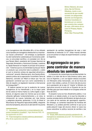 7
a los transgénicos más difundidos (Bt y rr) fue utilizado
como bandera pro transgénica destacando su importan-
cia “social y alimenticia”17
. Sin embargo, su aprobación
ha sido fuertemente cuestionada por funcionarios públi-
cos, la comunidad científica y la sociedad civil. Así es
que Renato Maluf, presidente del Consejo Nacional de
Seguridad Alimentaria y Nutricional (Consea), cuestiona
su rápida liberación en respeto al principio de la precau-
ción. “Creemos que es una temeridad la prisa por liberar
un producto que consumirá toda la población y sobre
el cual no tenemos certeza de seguridad alimenticia y
nutricional”, lamentó. Mientras tanto, Ana Carolina Brolo,
asesora jurídica de la organización humanitaria Tierra de
Derechos, coincidió con Maluf al indicar que “fue una
aprobación comercial que tuvo como característica la
falta de respeto a la legislación nacional e internacional
de bioseguridad”18
.
El balance general es que la avalancha de nuevos
transgénicos se ha intensificado y en la mayor parte
de los casos la misma implica su cultivo ligado a agro-
tóxicos, en algunos casos los mismos que ya se están
utilizando (glifosato fundamentalmente) y, en otros, la
introducción de nuevos herbicidas aún más tóxicos
y peligrosos (dicamba, glufosinato, 2,4 D). En Brasil el
Movimiento de Pequeños Agricultores (MPA), integrante
de la Vía Campesina, denunció en abril del 2012 la pronta
17. “Aprueban la producción y comercialización del
primer transgénico brasileño”, Agro Noticias FAO, 16
de septiembre de 2011.
18. “Fríjol transgénico desata polémica alimentaria”,
IPS, 30 de septiembre de 2011.
aprobación de semillas transgénicas de soja y maíz
resistentes al herbicida 2,4 D19
. Estas mismas semillas
ya se encuentran en etapa de experimentación a campo
en Argentina.
El agronegocio se pro-
pone controlar de manera
absoluta las semillas
La imposición de nuevas leyes de semillas también ha
estado a la orden del día en toda América Latina, pero
tuvo en Argentina, y con una ligazón directa al acuerdo
con Monsanto antes mencionado, uno de los focos de
acción más visibles y activos. El mismo día del anuncio
de la aprobación de la soja rr2 “intacta” el Ministro de
Agricultura anunció el envío de un Proyecto de Ley de
Semillas para que fuera tratado en el Congreso antes de
fines del 2012.
El proyecto nunca se hizo oficialmente público, ni se
sometió a un debate amplio, si no que fue discutido a
puertas cerradas dentro del Ministerio de Agricultura por
una parte de los sectores del agronegocio argentino.
Sin embargo, su contenido trascendió las fronteras del
Ministerio y su análisis permitió confirmar lo que ya se
podía presumir luego del anuncio oficial: la nueva Ley
busca subordinar la política nacional de semillas a las
19. “Brasil: MPA denuncia próxima aprobación de
transgénicos resistentes al 2,4-D”, Vía Campesina , 24
de abril de 2012.
Silvino Talavera, de once
años, hijo de Petrona
Villasboa, murió a con-
secuencia de que resultó
rociado con plaguicidas
durante una fumigación,
mientras transitaba en
bicicleta por un camino
que conecta dos campos
de soja, a 80 metros de su
casa en Pirapey, Itapúa,
Paraguay.
(Foto: Glyn Thomas/FoE).
 