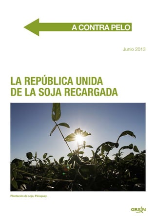 LA REPÚBLICA UNIDA
DE LA SOJA RECARGADA
Junio 2013
Plantación de soja, Paraguay.
 