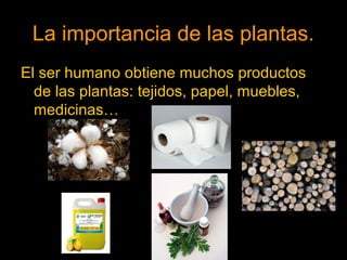 La importancia de las plantas. 
El ser humano obtiene muchos productos 
de las plantas: tejidos, papel, muebles, 
medicinas… 
