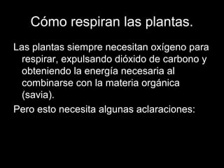 Cómo respiran las plantas. 
Las plantas siempre necesitan oxígeno para 
respirar, expulsando dióxido de carbono y 
obteniendo la energía necesaria al 
combinarse con la materia orgánica 
(savia). 
Pero esto necesita algunas aclaraciones: 
 
