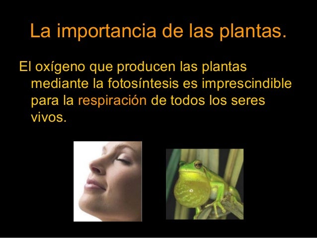 La respiracióndelasplantas