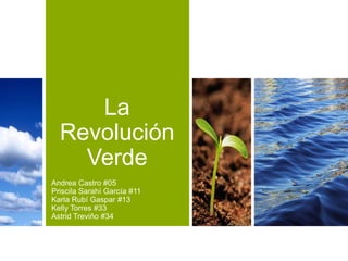 La
Revolución
Verde
Andrea Castro #05
Priscila Sarahí García #11
Karla Rubí Gaspar #13
Kelly Torres #33
Astrid Treviño #34
 