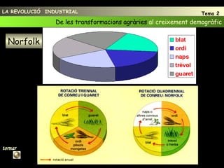 4 De les transformacions agràries  al creixement demogràfic LA REVOLUCIÓ  INDUSTRIAL Tema 2 Norfolk tornar 