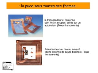 •  la puce sous toutes ses formes… le transpondeur et l’antenne sont fins et souples, collés sur un autocollant (Texas Instruments) transpondeur au centre, entouré d’une antenne de cuivre bobinée (Texas Instruments) 