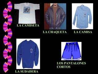 LA CAMISETA LA CAMISA LA CHAQUETA LA SUDADERA LOS PANTALONES CORTOS 