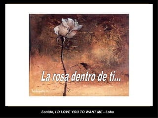 Sonido, I´D LOVE YOU TO WANT ME - Lobo La rosa dentro de ti... 