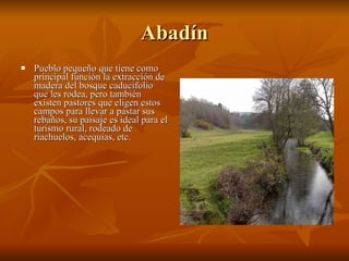 Abadín Pueblo pequeño que tiene como principal función la extracción de madera del bosque caducifolio que les rodea, pero también existen pastores que eligen estos campos para llevar a pastar sus rebaños, su paisaje es ideal para el turismo rural, rodeado de riachuelos, acequias, etc. 