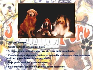 *   Sea leal, siempre. * Nunca pretenda ser algo que no es. * Si lo que desea está enterrado, cave sin cesar hasta encontrarlo. * Cuando vea que alguien no está en su mejor día, quédese en silencio sentado junto a él y gentilmente intente agradarlo. * Deje que lo acaricien y que lo toquen. * Evite morder si con solo un gruñido puede resolverse . 