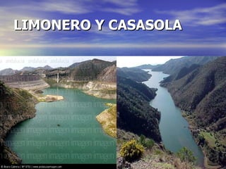 LIMONERO Y CASASOLA 