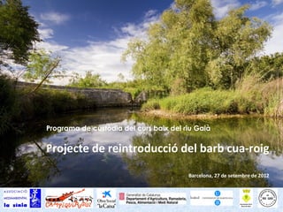 Programa de custòdia del curs baix del riu Gaià


Projecte de reintroducció del barb cua-roig

                                        Barcelona, 27 de setembre de 2012
 
