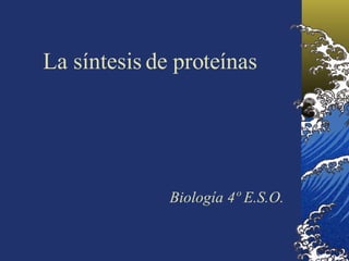 La síntesis de proteínas Biología 4º E.S.O. 