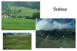 Suïssa 