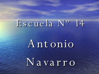 Escuela Nº 14 Antonio Navarro 