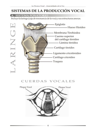 La Técnica Vocal - Generalidades de la Voz


 SISTEMAS DE LA PRODUCCIÓN VOCAL
A. SISTEMA FONATORIO
Incluye la laringe (caja de resonancia de la voz) y sus extructuras anexas.
LARINGE
                                                   Epiglotis
                                                                   Hueso Hioideo

                                                  Membrana Tirohiodea
                                                  Cuerno superior
                                                  del cartílago tiroideo
                                                      Lámina tiroidea
                                                  Cartílago tiroides

                                                 Ligamento cricotiroideo
                                                 Cartílago cricoideo
                                                 Traquea




           CUERDAS VOCALES
          Pliegue Vocal                                 Pliegue Vocal




                                          4
 