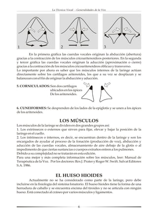 La Técnica Vocal - Generalidades de la Voz




1                              2                                 3
         En la primera gráfica las cuerdas vocales originan la abducción (abertura)
gracias a la contracción de los músculos cricoaritenoideos posteriores. En la segunda
y tercer gráfica las cuerdas vocales originan la aducción (aproximación o cierre)
gracias a la contracción de los músculos cricoaritenoideos oblicuo y transverso.
Lo importante por ahora es saber que los músculos internos de la laringe actúan
directamente sobre los cartílagos aritenoides, los que a su vez se desplazan y se
balancean con el fin de originar la abducción y aducción.

5. CORNICULADOS: Son dos cartílagos
                 ubicados en los ápices
                 De los aritenoides.



6. CUNEIFORMES: Se desprenden de los lados de la epiglotis y se unen a los ápices
de los aritenoides.

                              LOS MÚSCULOS
Los músculos de la laringe se dividen en dos grandes grupos así:
1. Los extrínsecos o externos que sirven para fijar, elevar y bajar la posición de la
laringe en el cuello.
2. Los intrínsecos o internos, es decir, se encuentran dentro de la laringe y son los
encargados de ayudar al proceso de la fonación (producción de voz), abducción y
aducción de las cuerdas vocales, almacenamiento de aire debajo de la glotis o al
impedimento de que ciertas sustancias o cuerpos extraños entren a los pulmones.
Debido a su complejidad no se tratarán en esta edición.
Para una mejor y más completa información sobre los músculos, leer: Manual de
Terapéutica de la Voz. Por los doctores: Rex J. Prater y Roger W. Swift. Salvat Editores
S.A. 1986.


                           EL HUESO HIOIDES
         Actualmente no se ha considerado como parte de la laringe, pero debe
incluirse en la fisiología del sistema fonatorio. El hueso hioides tiene la forma de una
herradura de caballo y se encuentra encima del tiroides y no se articula con ningún
hueso. Está conectado al cráneo por varios músculos y ligamentos.



                                             6
 