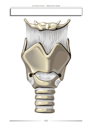 La Técnica Vocal - Material de Ayuda




               173
 